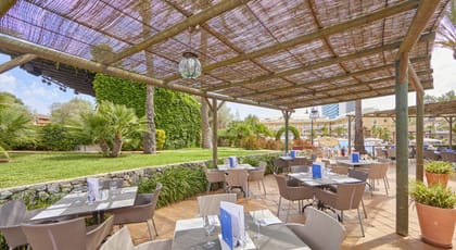 Zafiro Can Picafort, Luxury Resort, Carrer Camp d'Avall, s/n, 07458 Can Picafort, Mallorca, photo 3, Zafiro Can Picafort Mallorca terrace