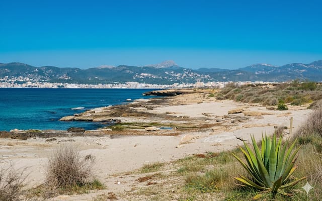 Es Carnatge, Beaches, Mallorca, photo