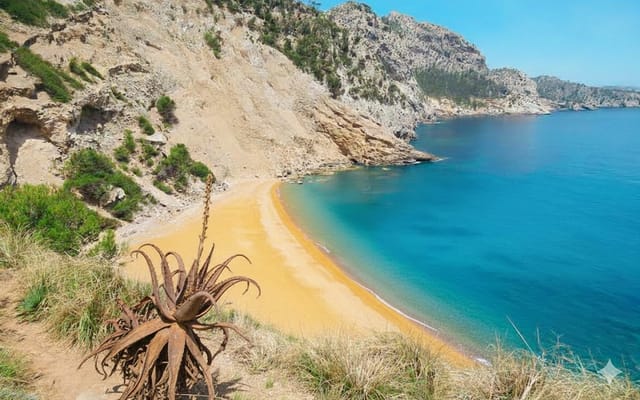 Es Coll Baix, Beaches, Mallorca, photo