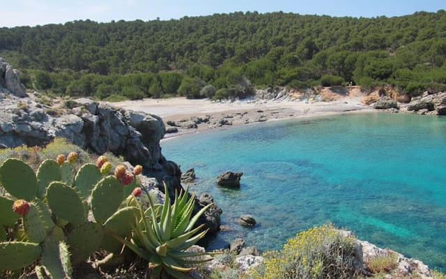 Es Matzoc, Spiagge, Mallorca, photo