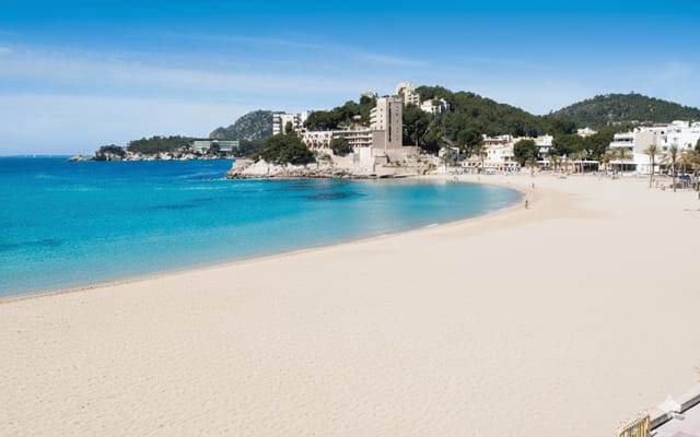 Playa Palmira, Beaches, Mallorca, photo