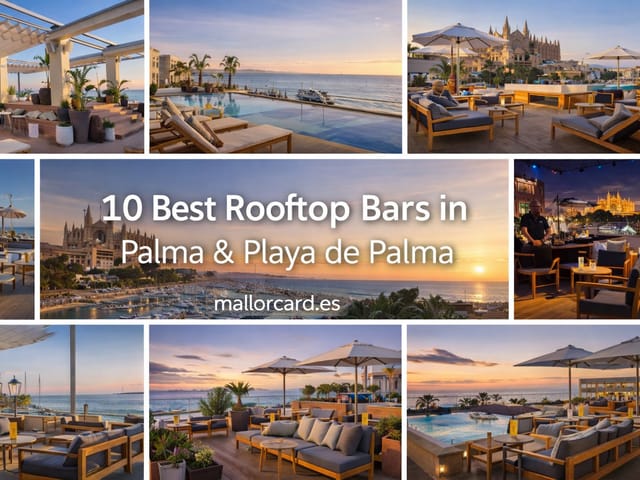 Best Rooftop Bars in Palma and Playa de Palma with Stunning Sea Views