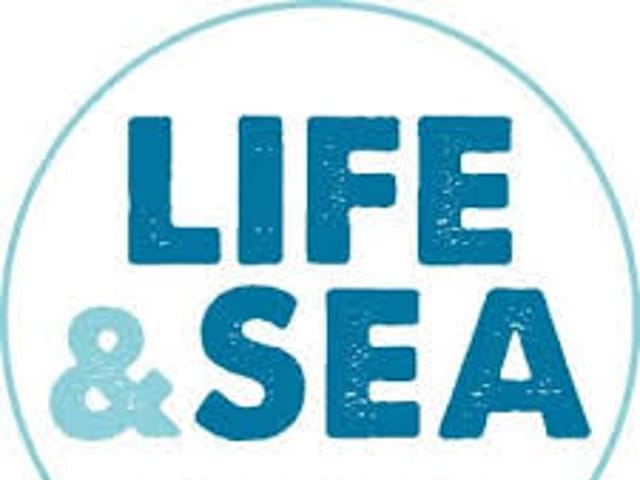 Life & Sea, Activities & Sightseeing, Palma de Mallorca, photo