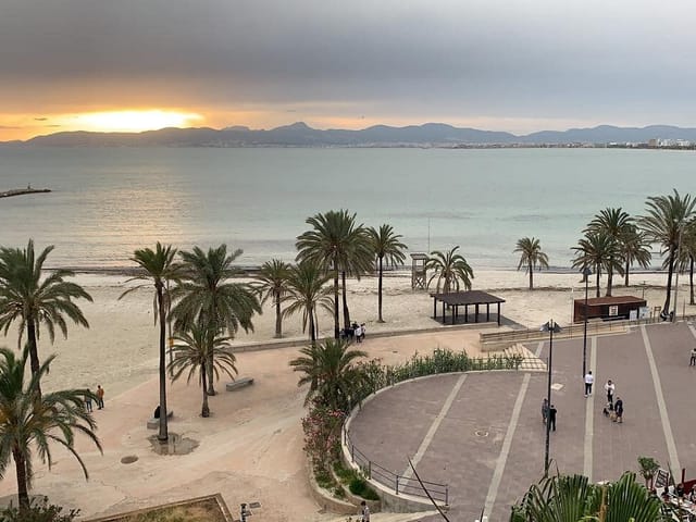 El Arenal | S'Arenal, Mallorca, photo
