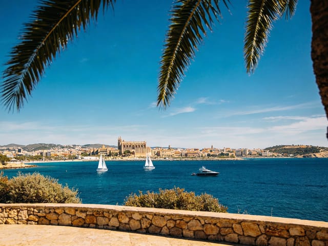 Badia de Palma, Mallorca, photo