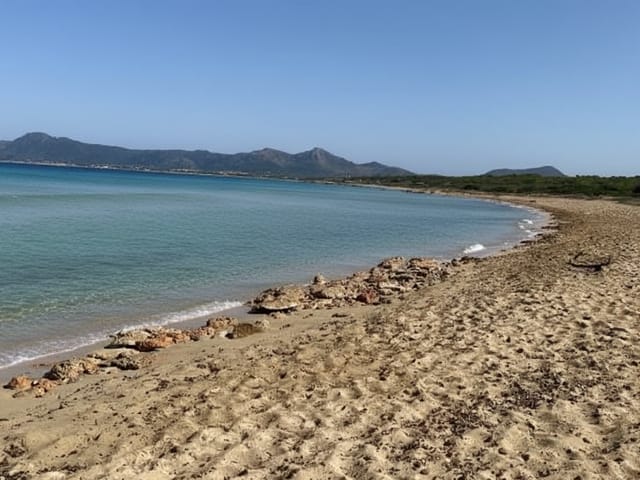 Cala de ses Assussenes, beach, Mallorca, photo