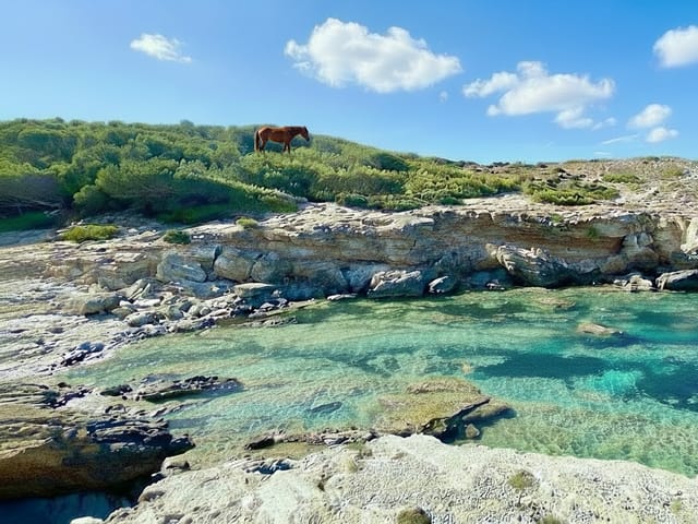 Cala Estreta, beach, Mallorca, photo