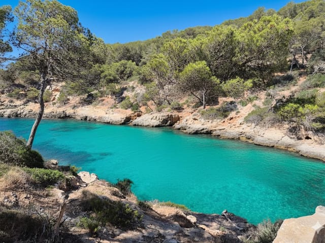 Cala Falcó, beach, Mallorca, photo