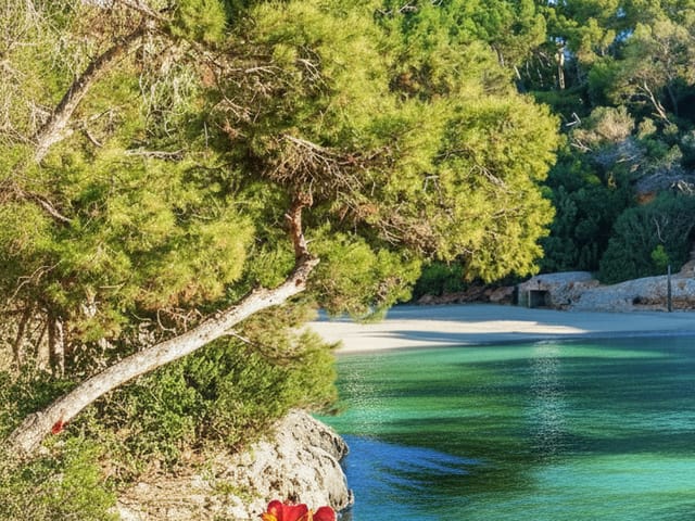 Cala Ferrera, Mallorca, photo