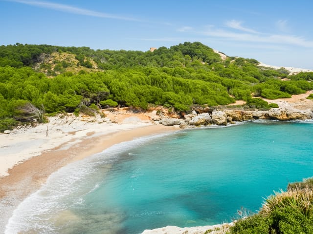 Cala Font Celada, beach, Artá, Mallorca, photo