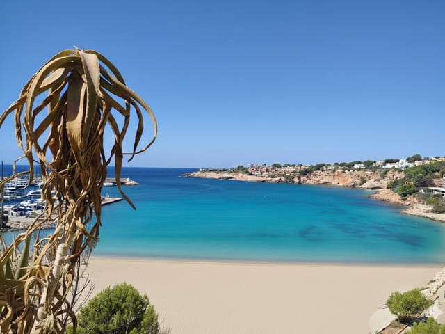 Cala Penya Roges, beach, Mallorca, photo