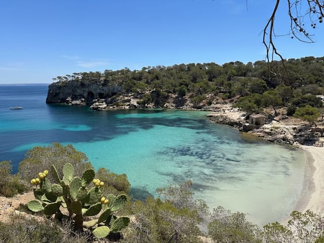 Cala Portals Vells, beach, Mallorca, photo