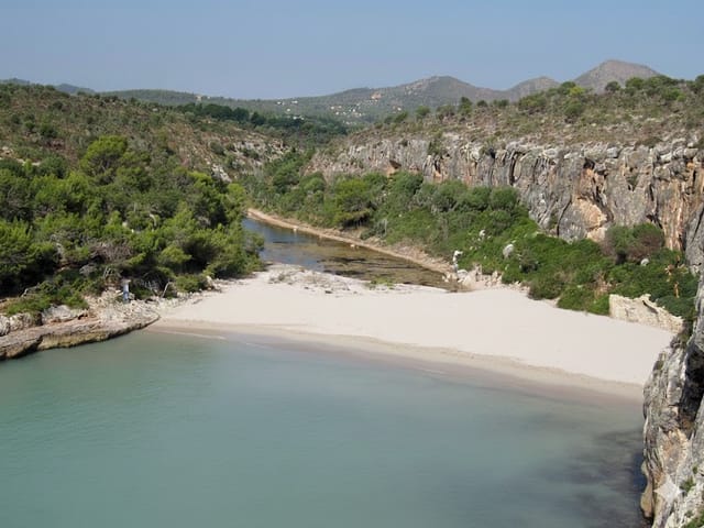 Cala Virgili, beach, Cales de Mallorca, photo
