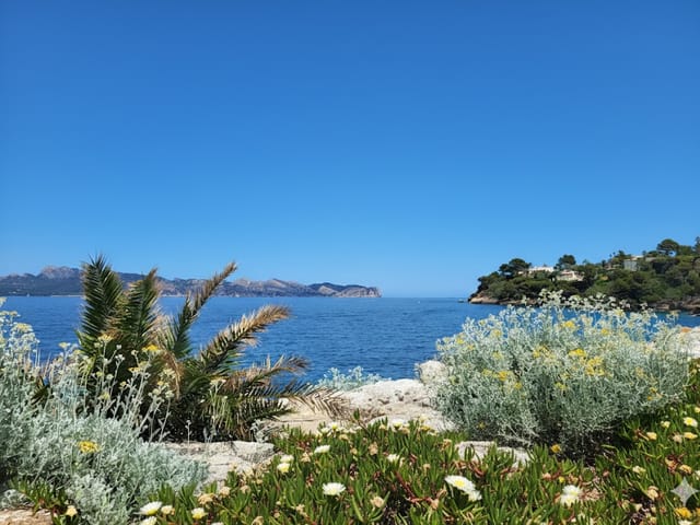 Caleta des Frares, Urban, Mallorca, photo