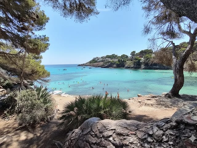 Caló de n'Aladern, beach, Mallorca, photo