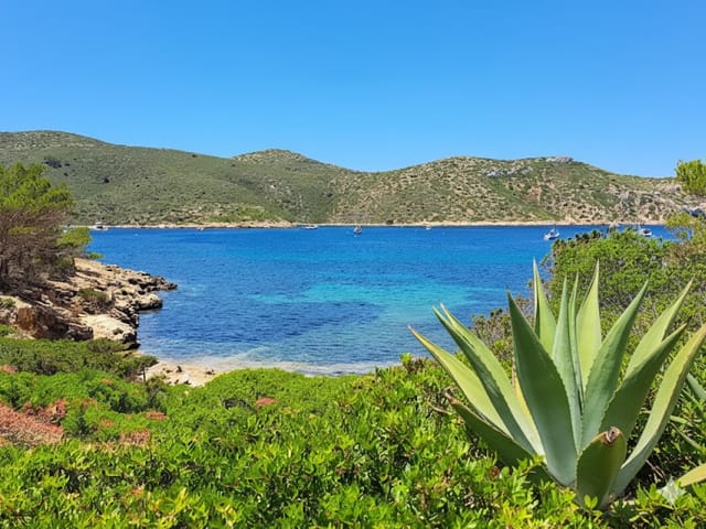 Cas Pages, beach, Mallorca, photo