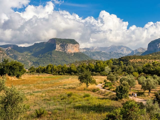 Consell, Mallorca, photo