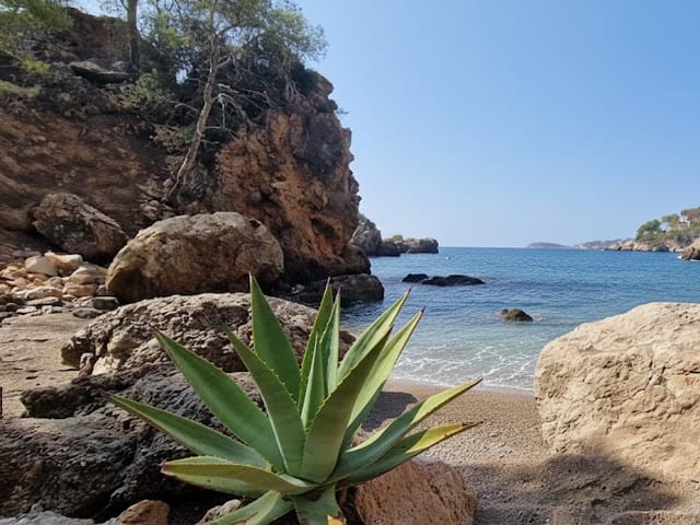 Es Cap de Gegant, beach, Mallorca, photo
