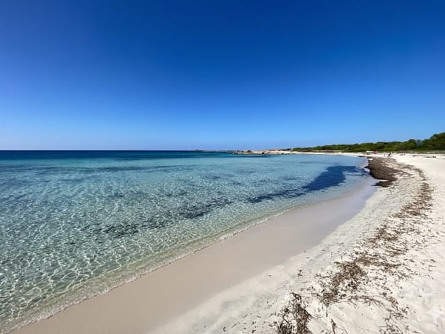Es Caragol, beach, Mallorca, photo