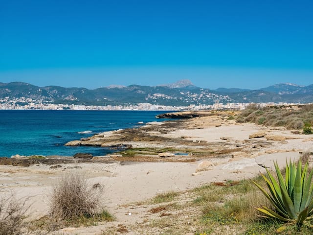 Es Carnatge, Isolated, Palma de Mallorca, photo