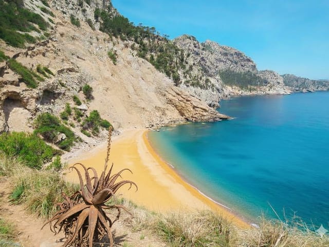 Es Coll Baix, Isolated, Alcudia, Mallorca, photo