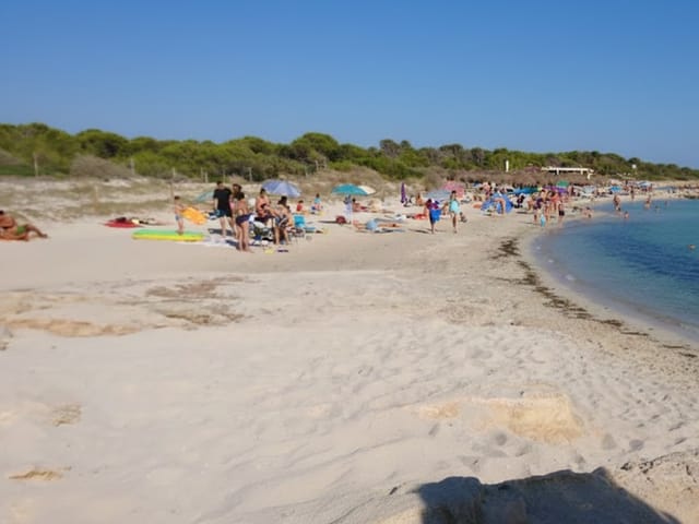 Es Dolç, beach, Mallorca, photo