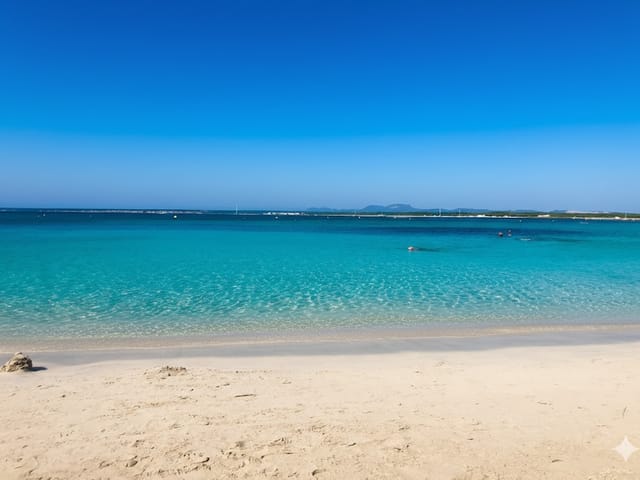 Es Marques, beach, Mallorca, photo