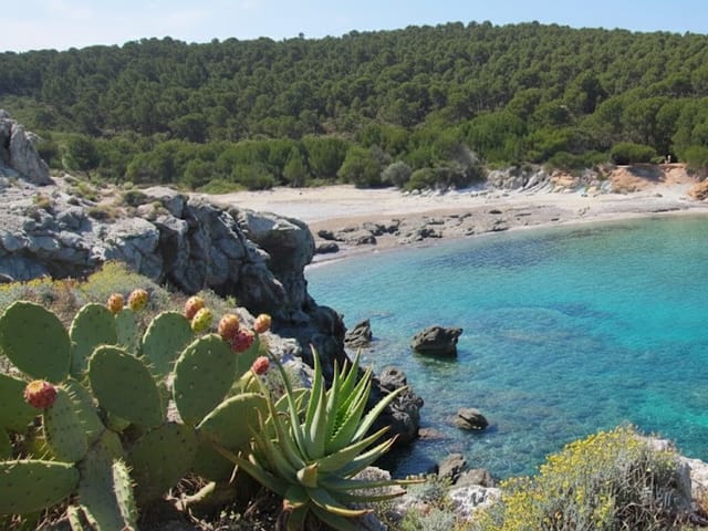 Es Matzoc, Isolated, Artá, Mallorca, photo