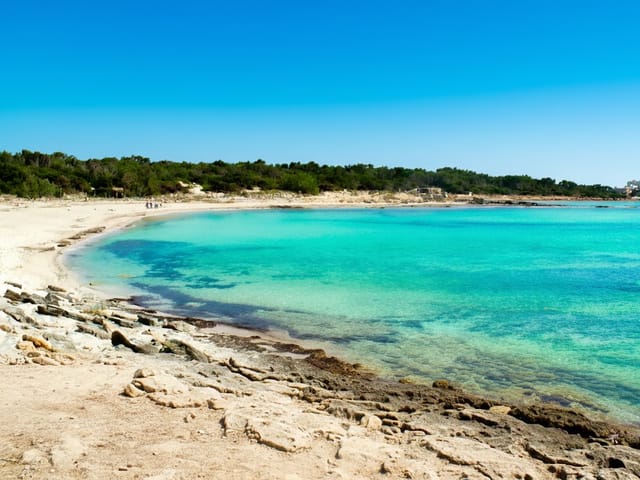 Es Perengons Grans, beach, Mallorca, photo