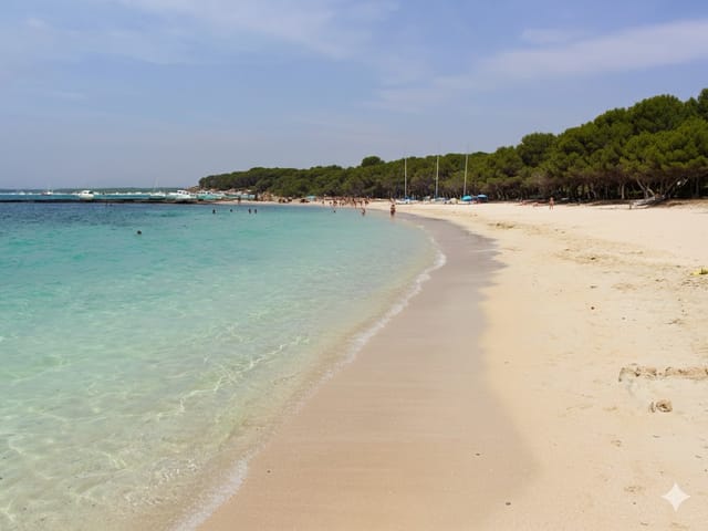 Estanys, beach, Mallorca, photo