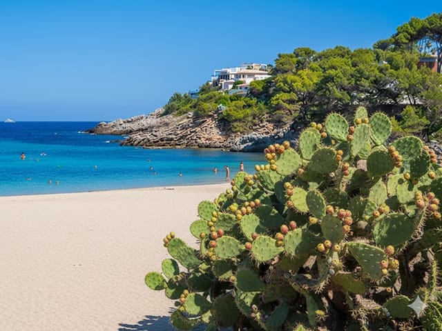 Font De Sa Cala, beach, Mallorca, photo