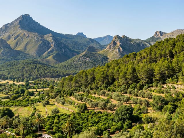 Galatzò, Mallorca, photo
