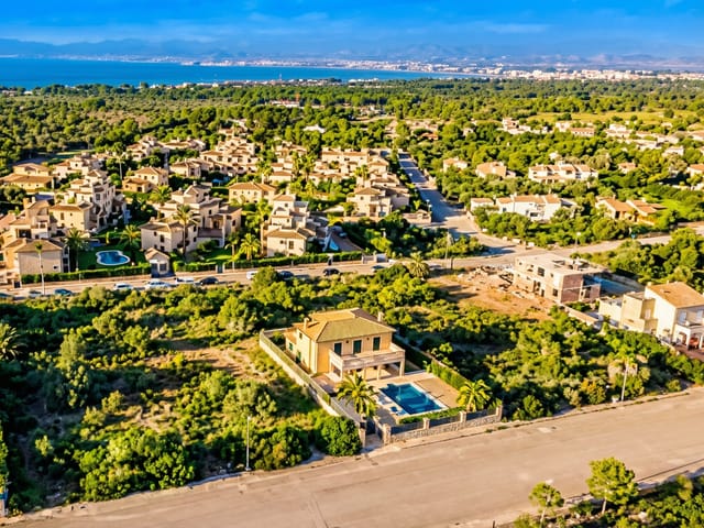 Las Palmeras, Mallorca, photo