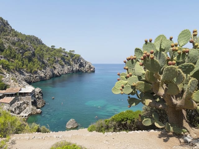 Llucalcari, beach, Mallorca, photo
