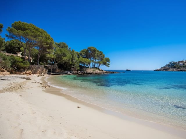 N'Aladern, beach, Mallorca, photo