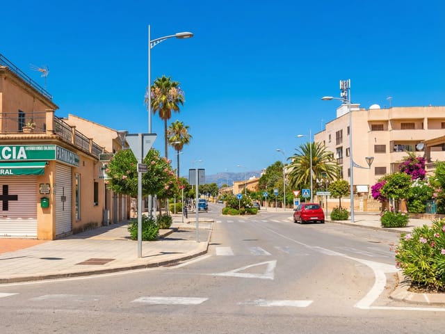 Pla de na Tesa, Mallorca, photo
