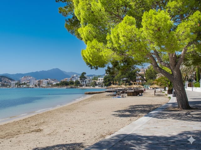 Platja d'Albercutx, beach, Mallorca, photo