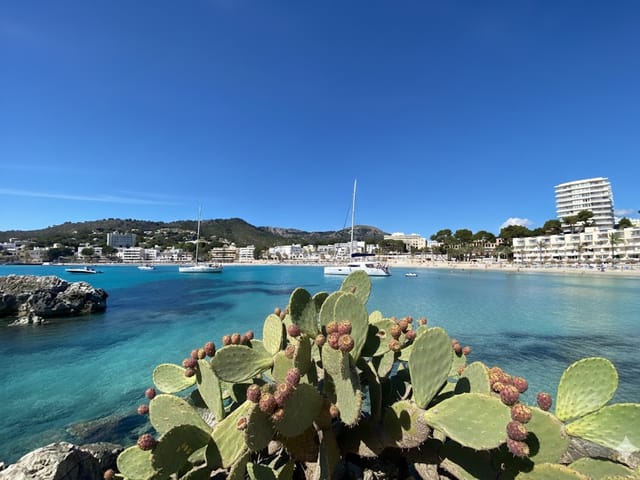 Platja de Peguera-Palmira, beach, Mallorca, photo