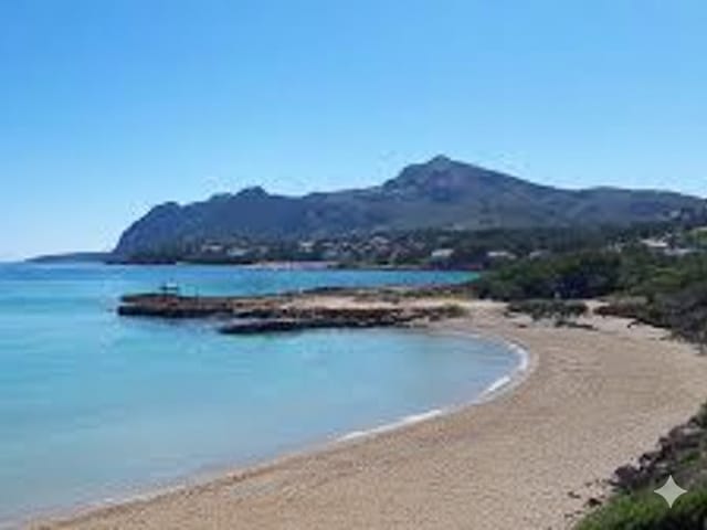 Platja De Sant Joan, Isolated, Alcudia, Mallorca, photo
