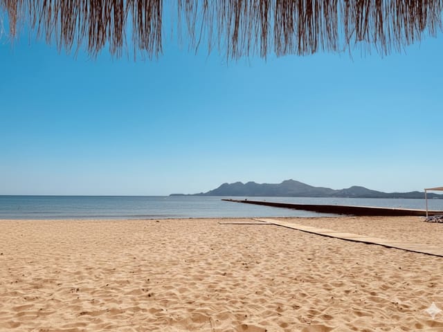 Platja des Port de Pollença, Urban, Mallorca, photo