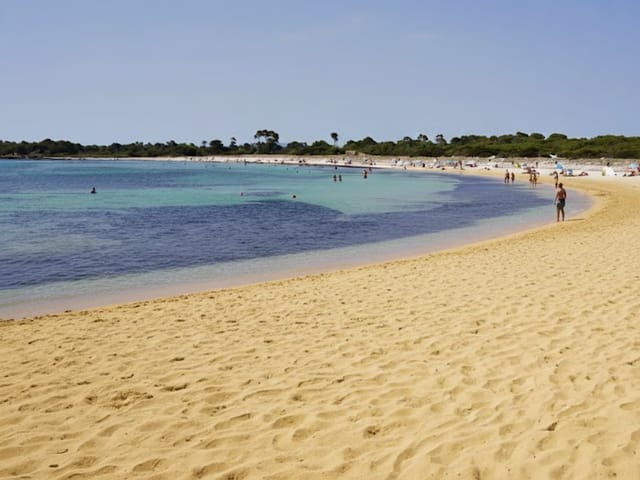 Playeta d'es Delfí, beach, Mallorca, photo