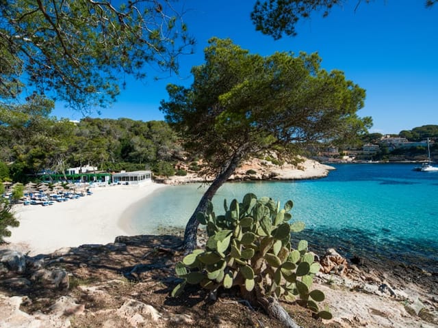 Portals Vells, beach, Mallorca, photo