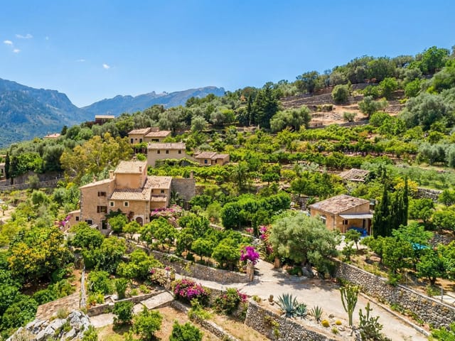 S’Aranjassa, Mallorca, photo