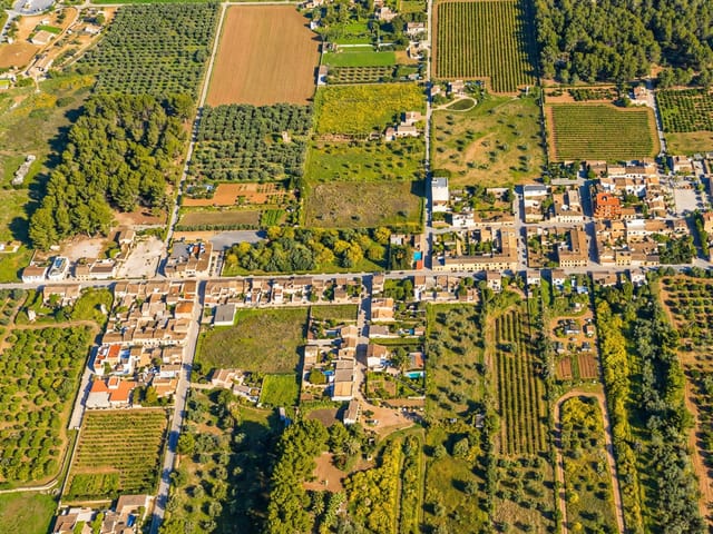 L´Aranjassa, Mallorca, photo