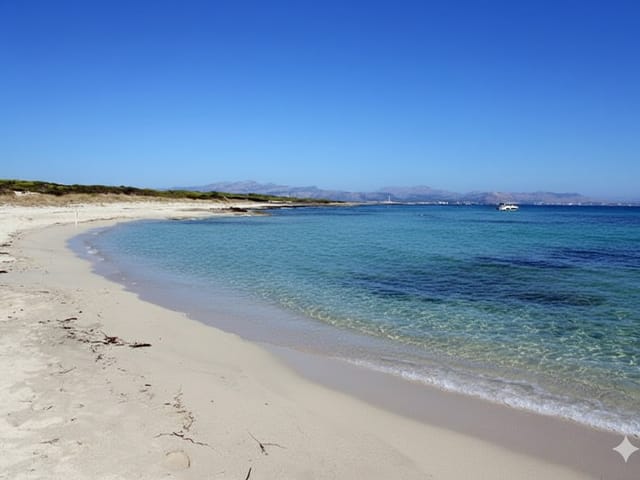 S'Arenal d'en Casat, beach, Mallorca, photo