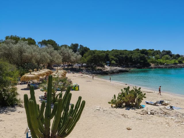 S'Arenal de Portocolom, beach, Mallorca, photo