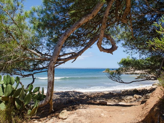 S'Estanyol, beach, Mallorca, photo