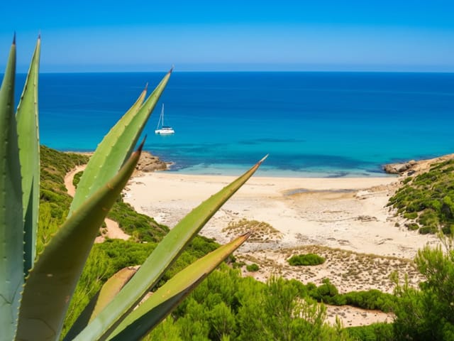 Sa Font Figuera, beach, Mallorca, photo