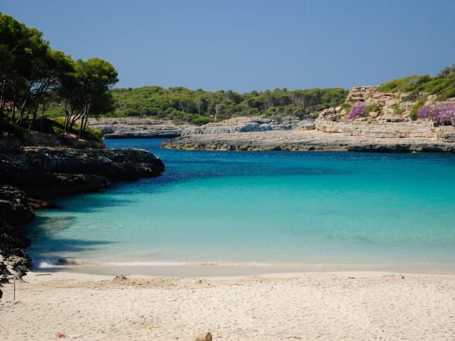 Sa Geneta, beach, Mallorca, photo