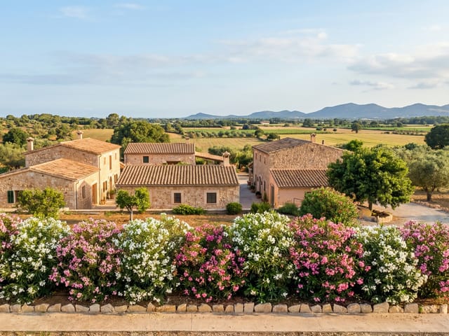 Sa Sorda, city, Campos, Mallorca, photo